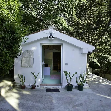 Charming In With Private Pool *